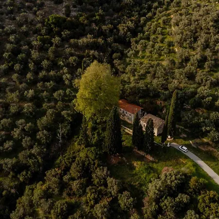 Leto 3* Delphi