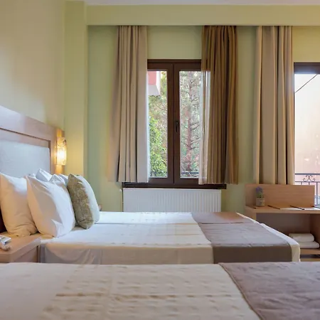 Hotel Leto 3*
